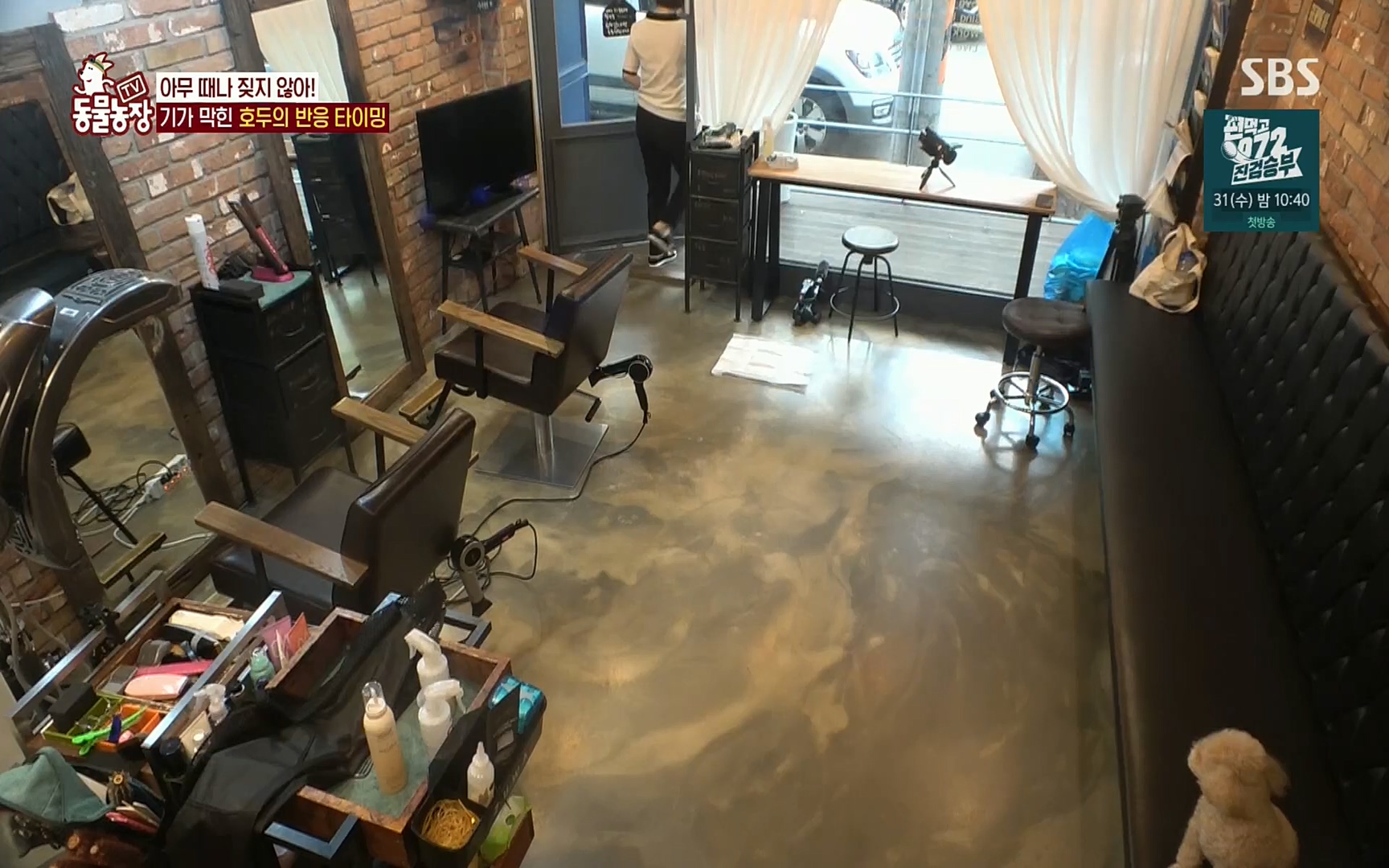 TV 동물농장.E1084.220828p.H264-F1RST.mp4_20220828_154041.493.jpg