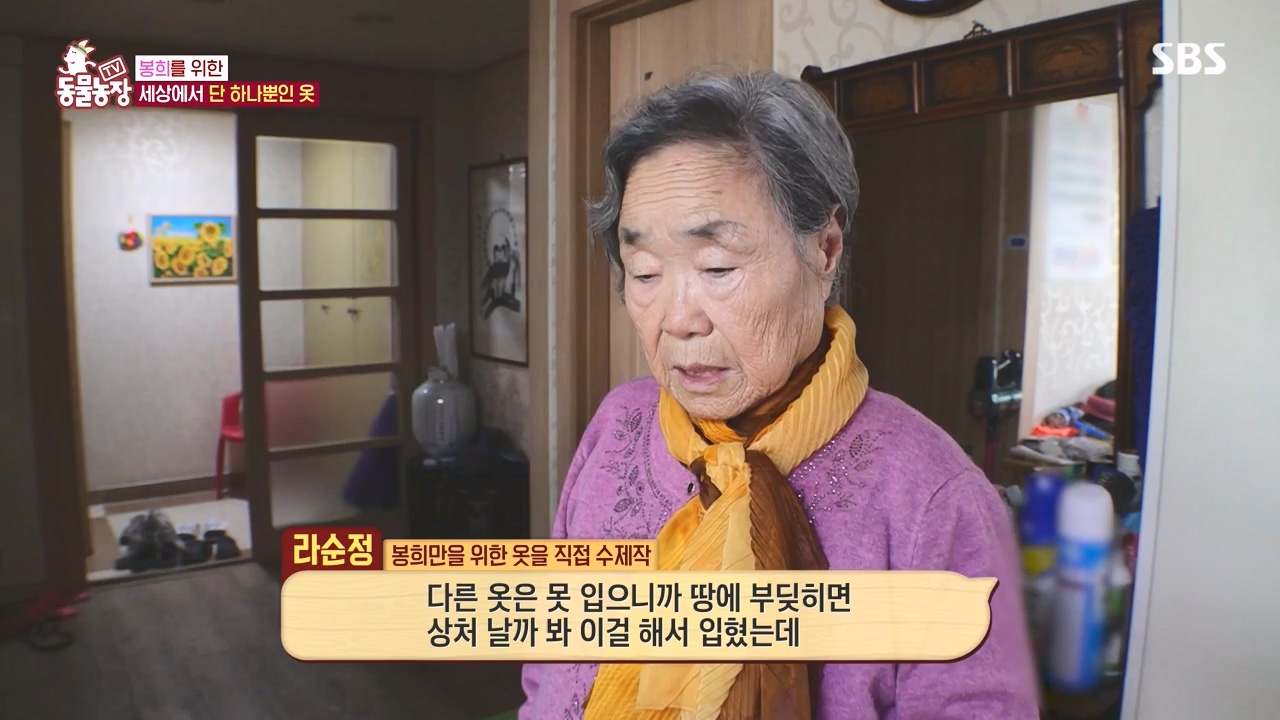 TV 동물농장.E1145.231113p-NEXT.mp4_20231112_173443.892.jpg