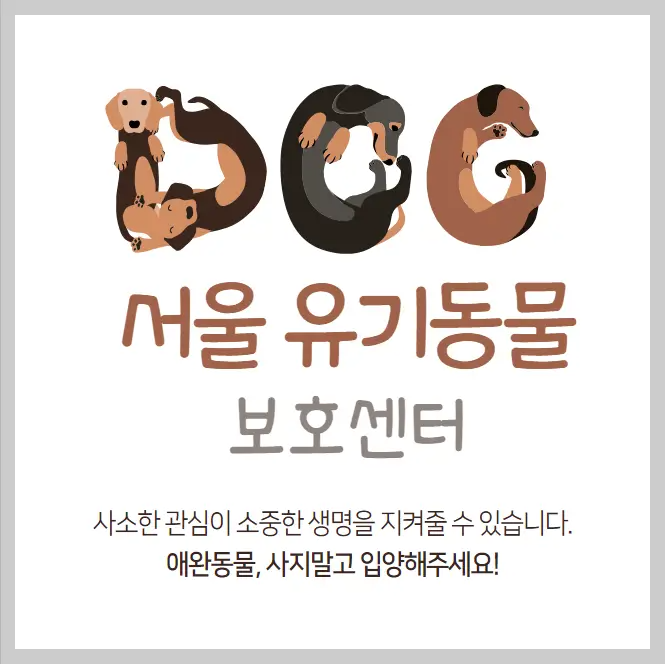 서울-유기동물보호센터-강아지-고양이-동물보호소