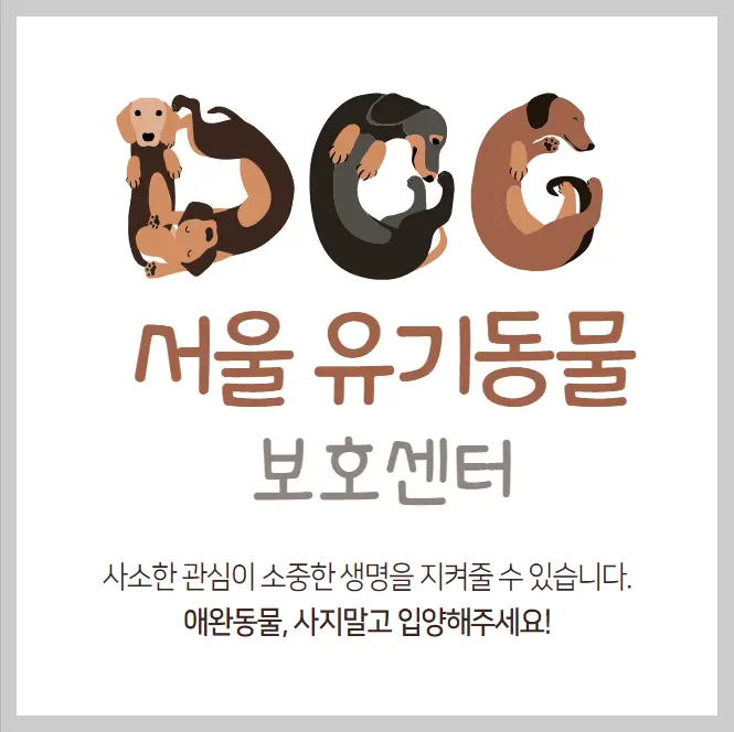  서울 유기동물보호센터 강아지 고양이 동물 보호소 29곳