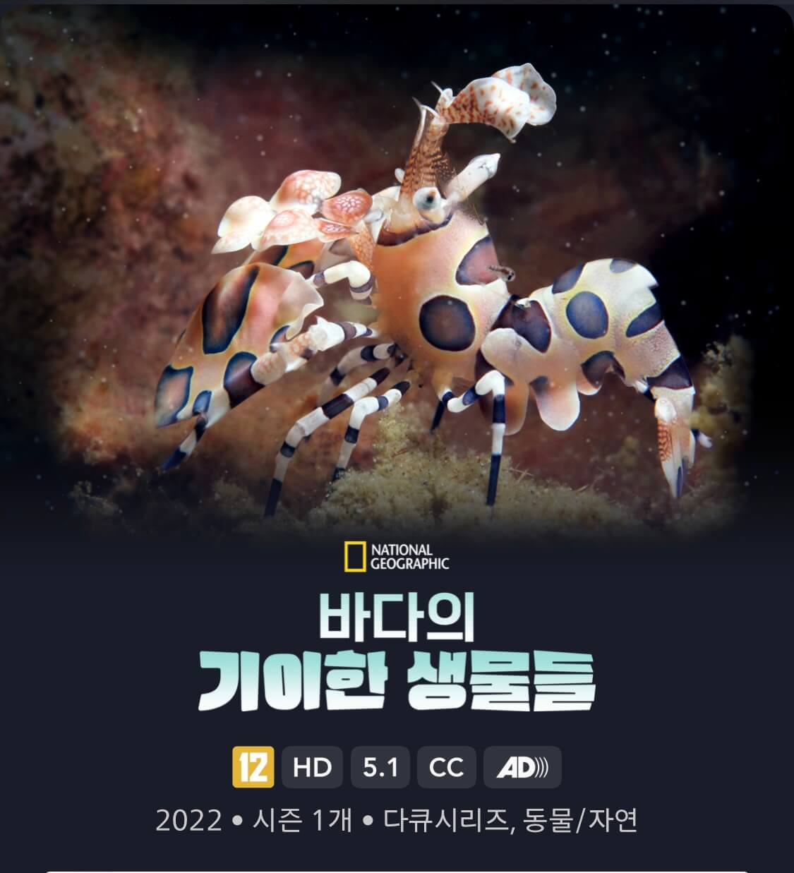 바다의 기이한 생물들