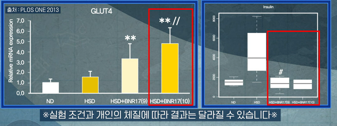 bnr17유산균 효능