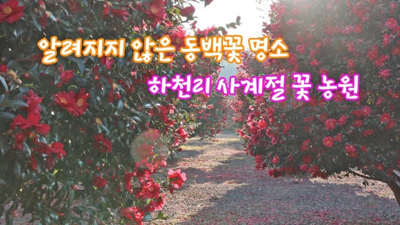 사계절꽃 이미지