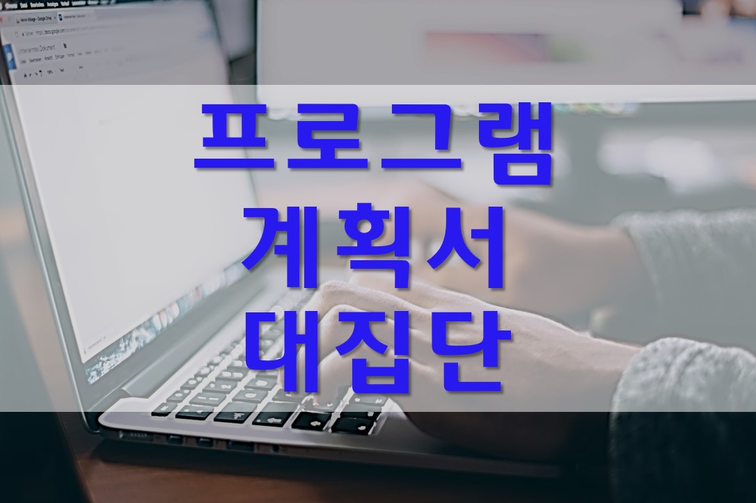  프로그램 계획서 예시/대집단 및 지역사회복지