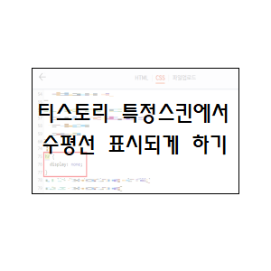  티스토리 특정스킨에서 수평선 표시되게 하기