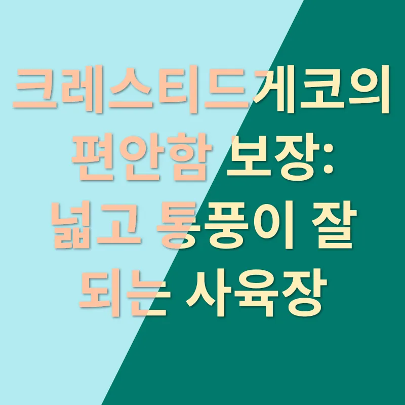 크레스티드게코 사육장_1