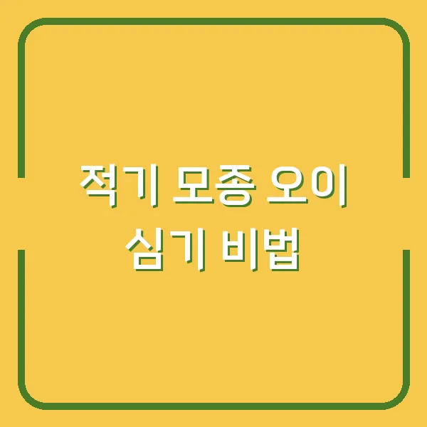 적기 모종 오이 심기 비법