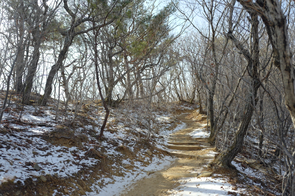 한국 명산 충북 영동 김천 여행 황악산 등산 mountain hiking