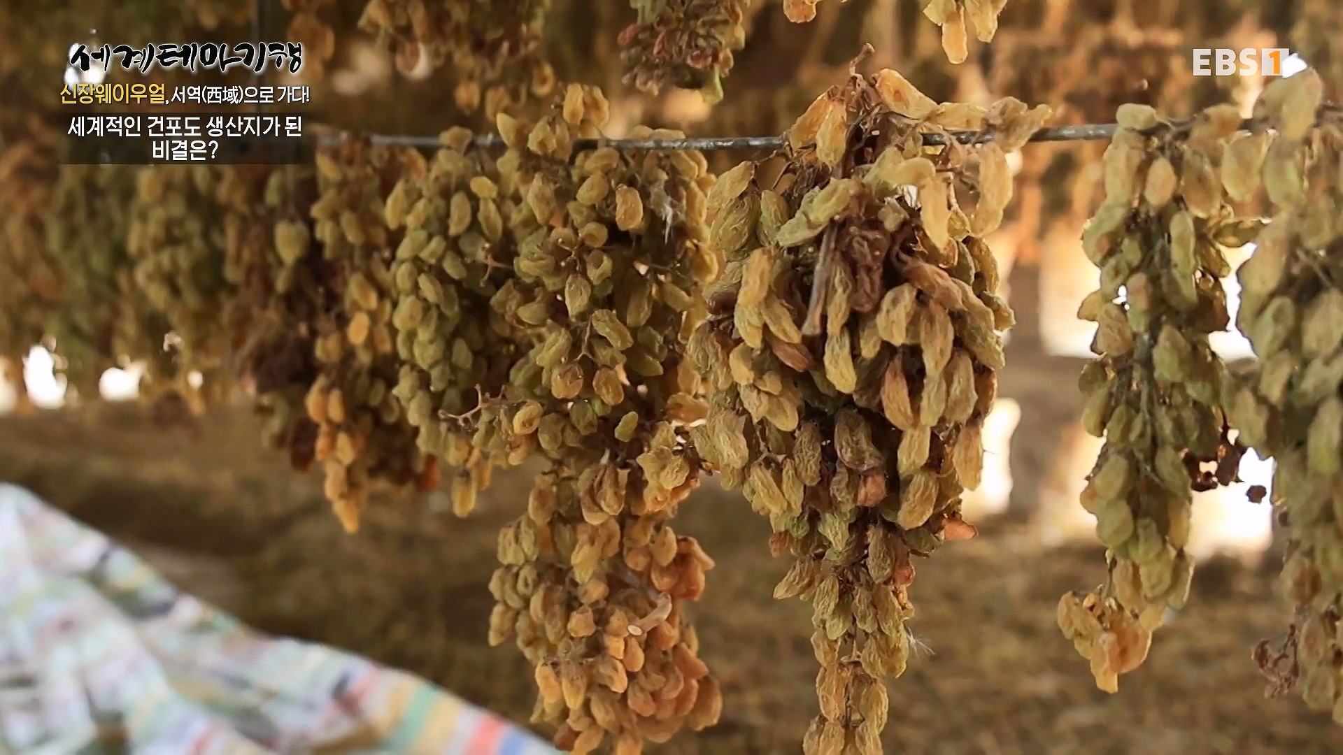 세계테마기행 240102 신장웨이우얼, 서역(西域)으로 가다! -톈산산맥의 보물, 투루판0p.mp4_20240706_172802.545.jpg