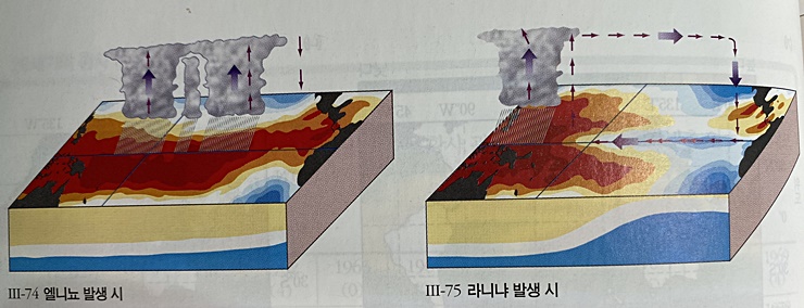 엘니뇨 라니냐 발생시