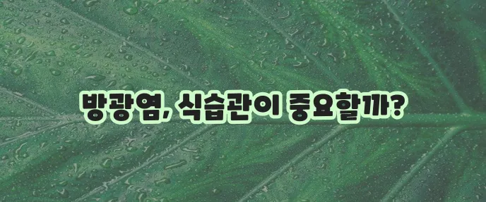 방광염에 좋은 음식 5가지, 꼭 알아두세요!