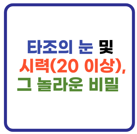 타조의 눈 및 시력