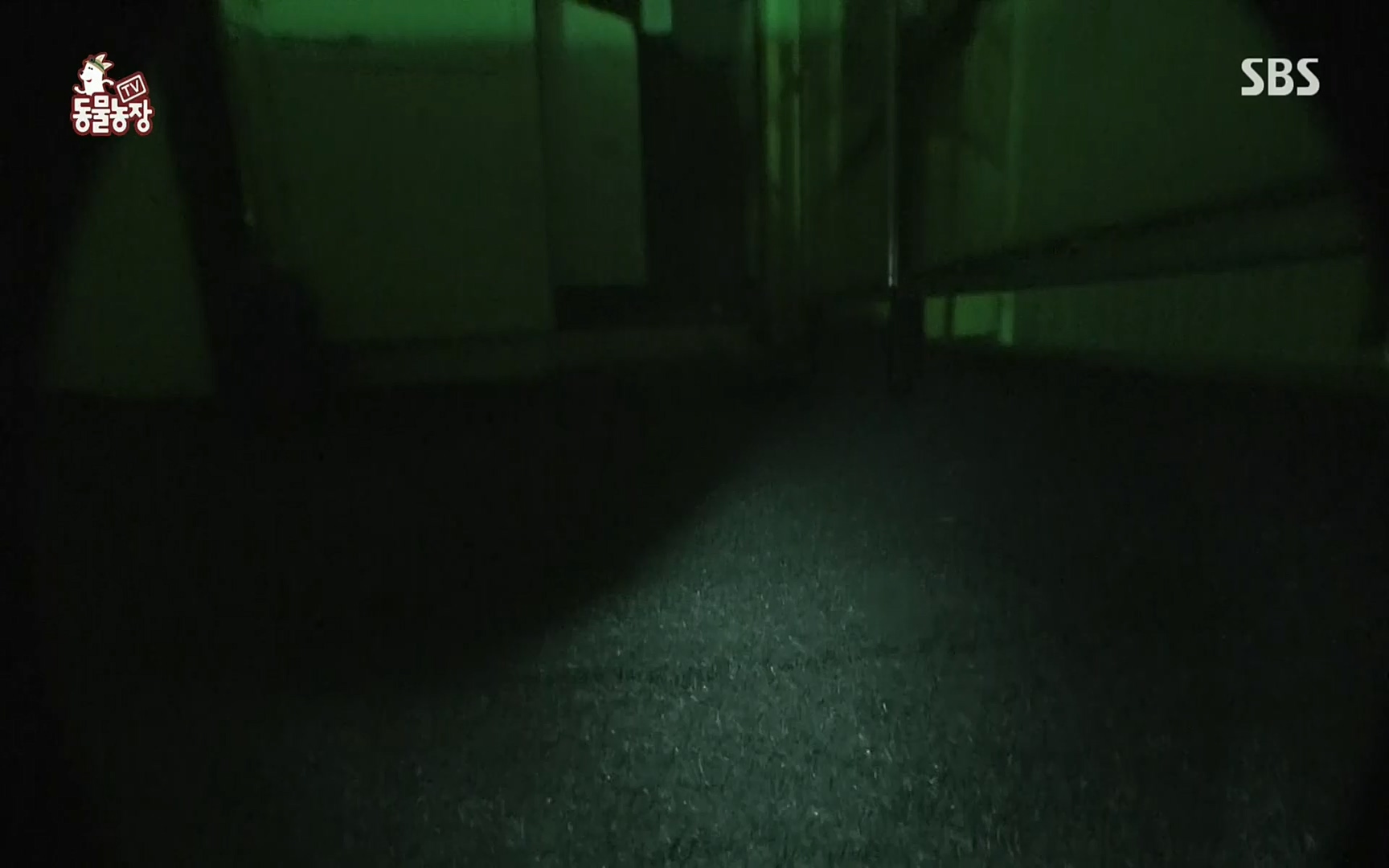 TV 동물농장.E1066.220424p.H264-F1RST.mp4_20220424_201023.166.jpg