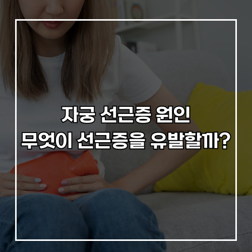 자궁 선근증 원인, 무엇이 자궁 선근증을 유발할까?