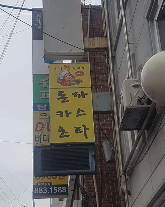 대가왕돈카츠