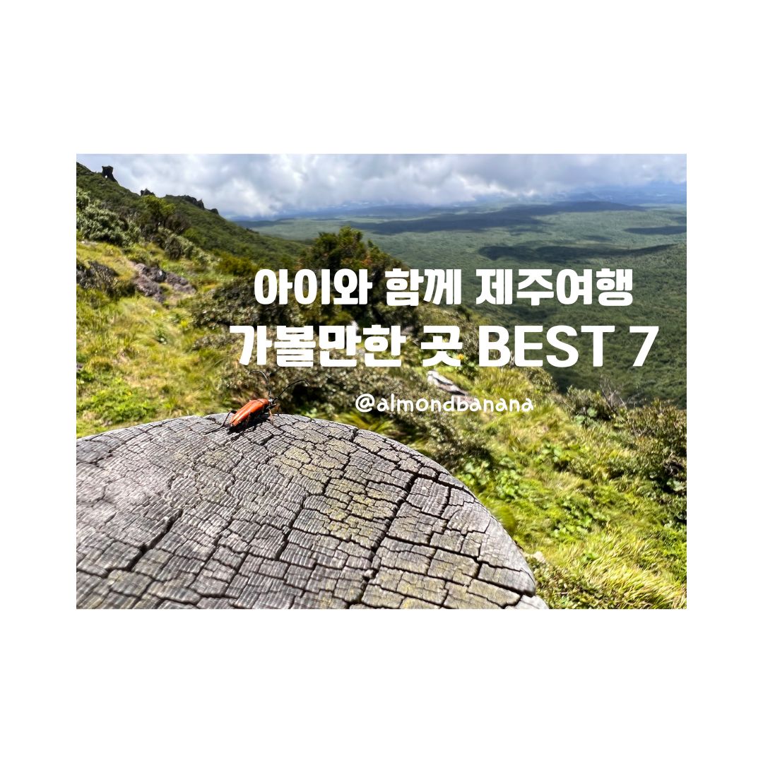  아이와 함께 제주 여름휴가, 가볼만한 곳 추천 Best 7