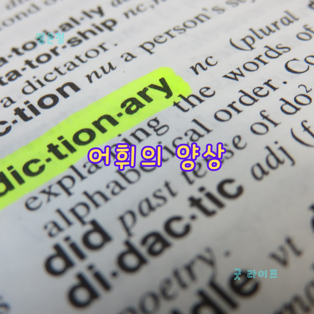 국어 어휘의 양상&#44; 유의어&#44; 반의어&#44; 상위어&#44; 하위어&#44; 동음이의어&#44; 다의어