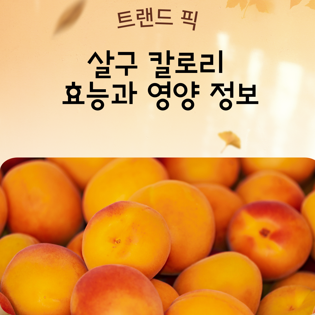 살구 효능 및 부작용 총정리
