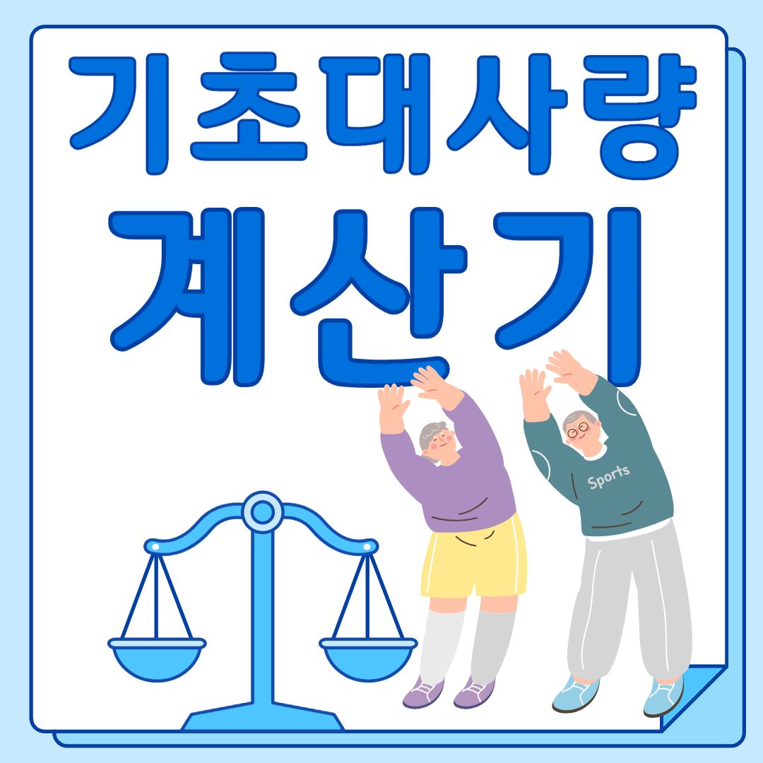 기초대사량 계산기