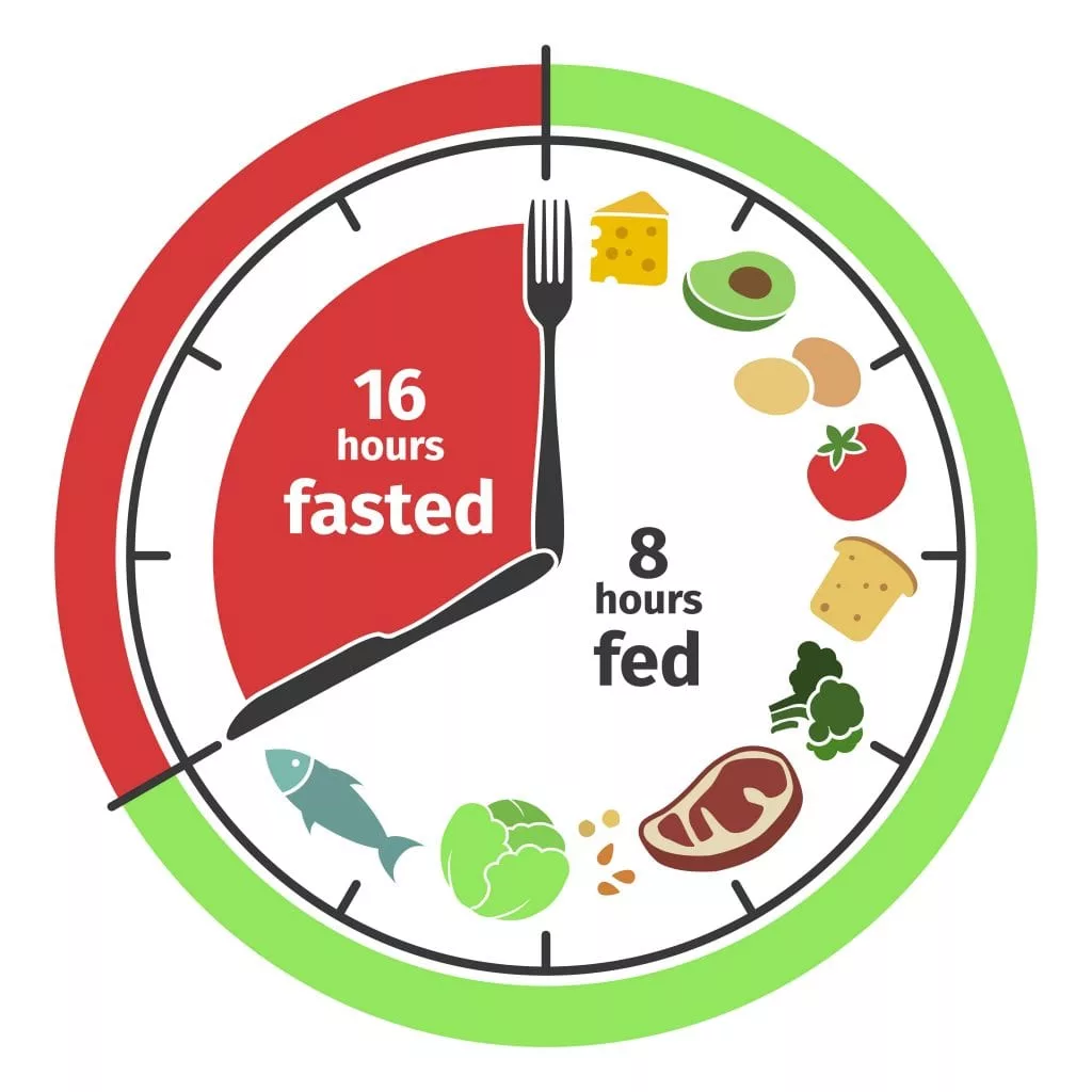  간헐적 단식(intermittent fasting)이란 무엇이며 어떤 작용을 할까?