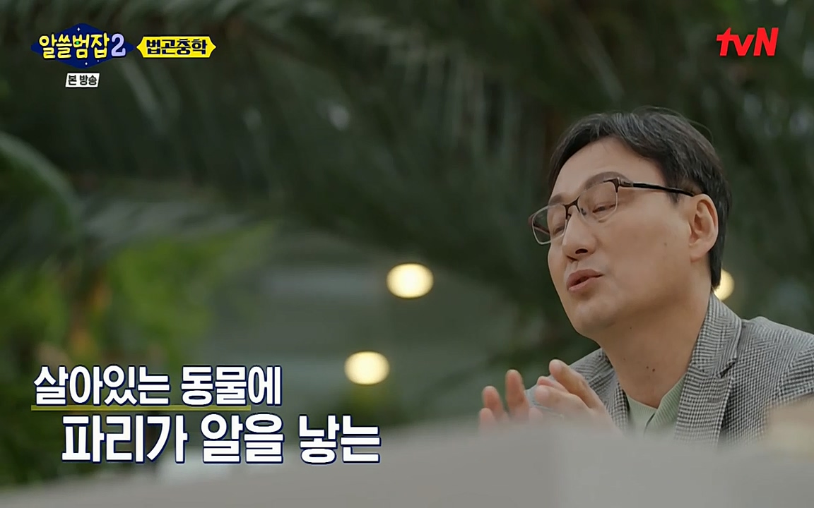 알쓸범잡 2.E15.220425p-NEXT.mp4_20220425_181915.734.jpg
