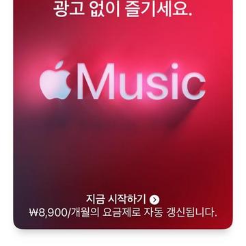 애플뮤직 6개월 무료 체험 혜택