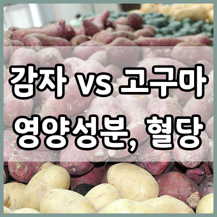  고구마와 감자 : 영양성분과 혈당에 미치는 차이