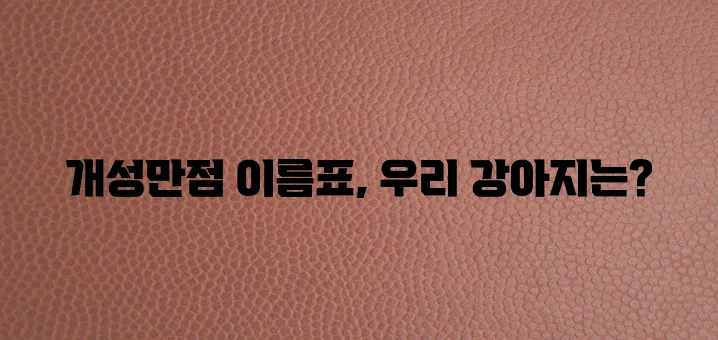 강아지 이름표 목걸이로 사랑하는 반려견을 개성있게 꾸며보세요!