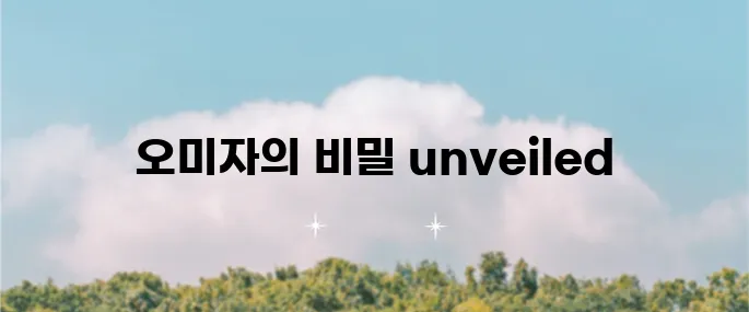 오미자의 12가지 효능과 부작용 주의사항 살펴보기!