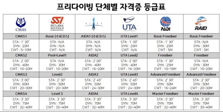 프리다이빙 자격증 종류