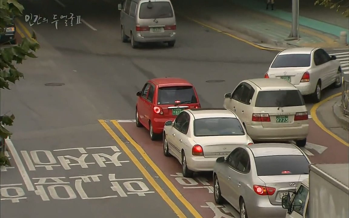 EBS 다큐프라임 - Docuprime, 인간의 두 얼굴2 제2부 아름다운 세상.mp4_20220608_205242.682.jpg