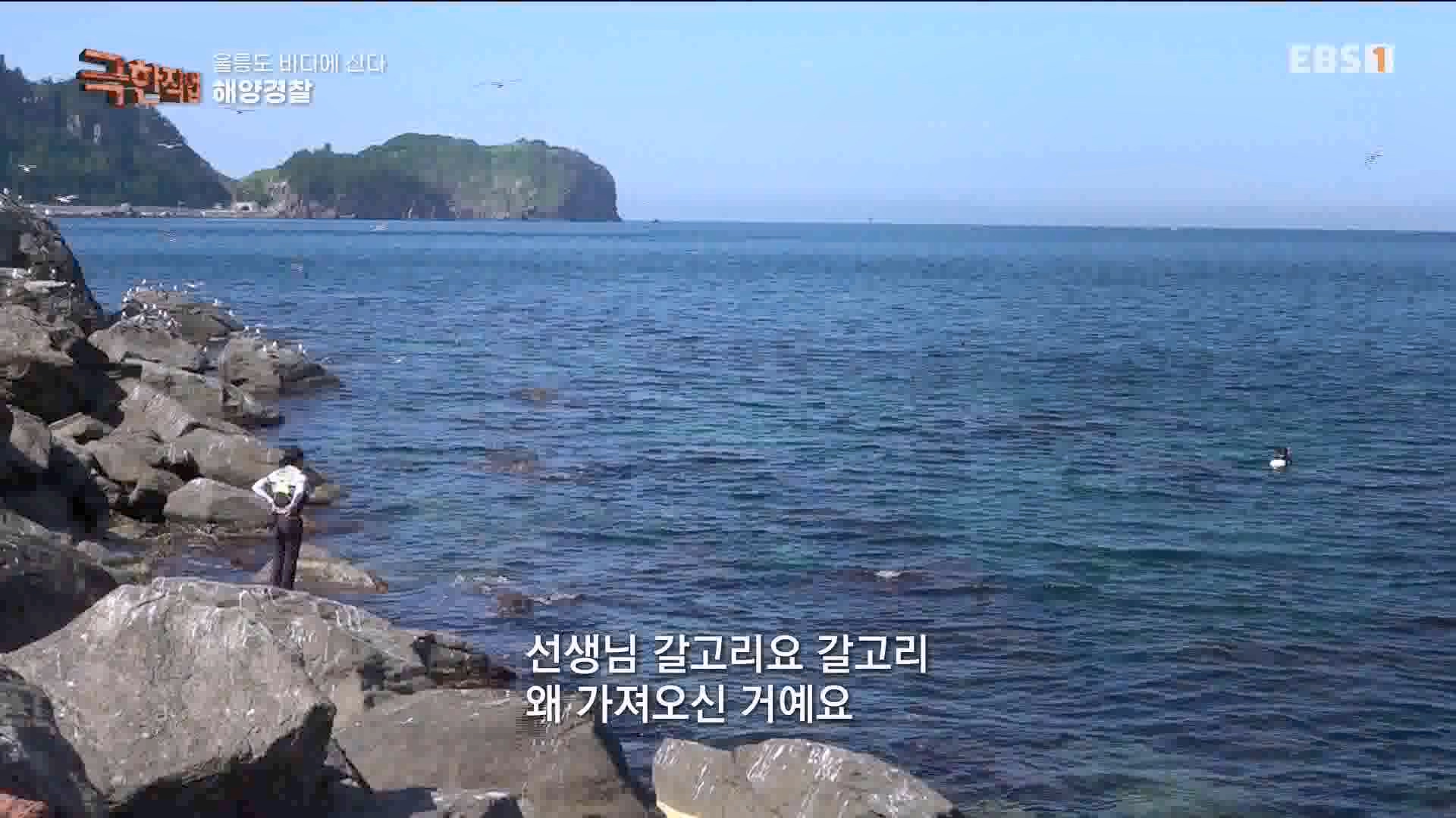 [극한 직업] 대형 여객선과 해양경찰 230729p.mp4_20230805_140258.673.jpg