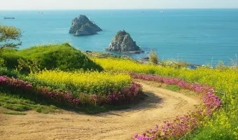 비행기 없이 떠나는 국내 숨은 여행지 발견하는 특별한 방법_23
