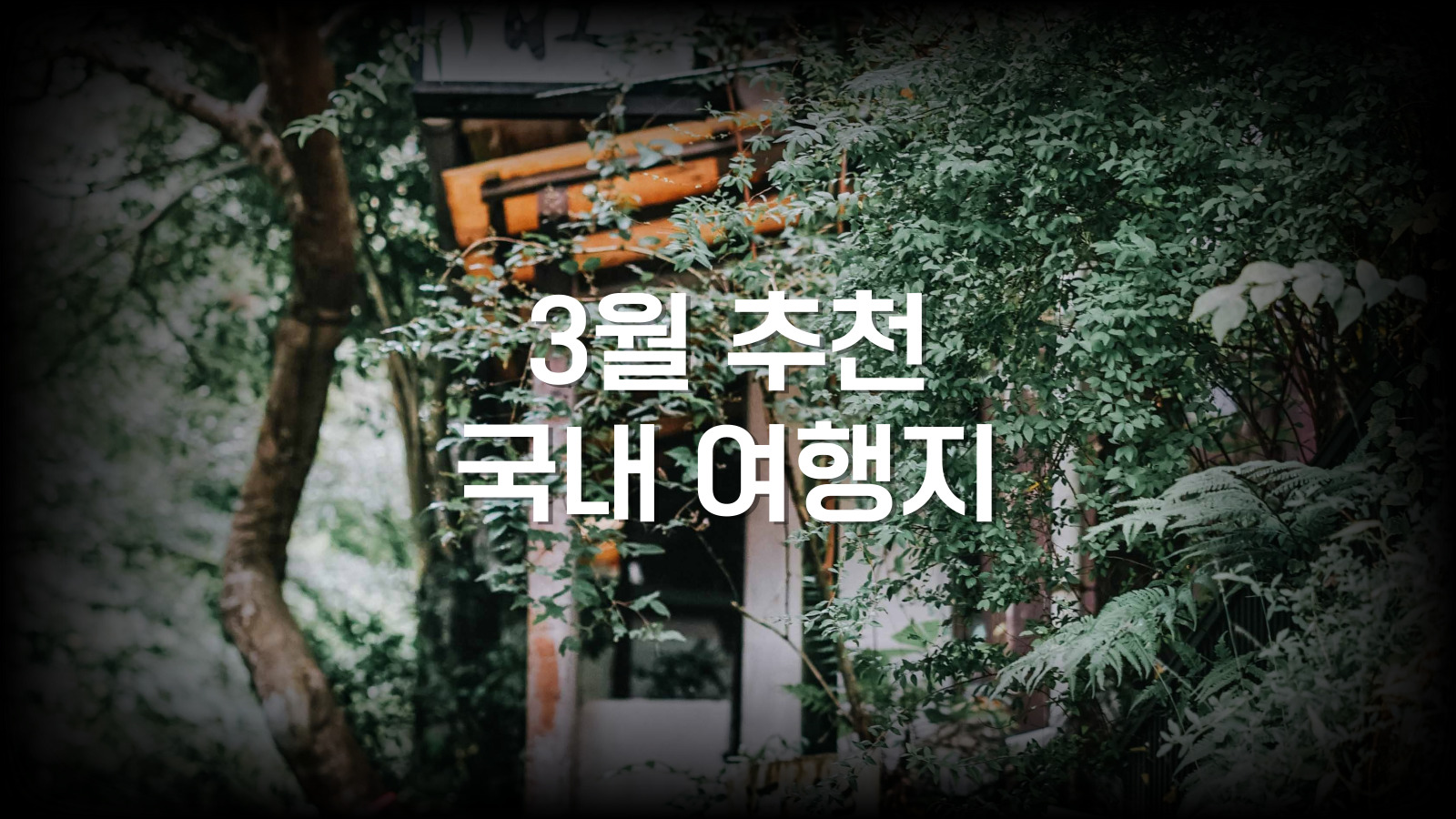  3월에 가기 좋은 국내 여행지 추천