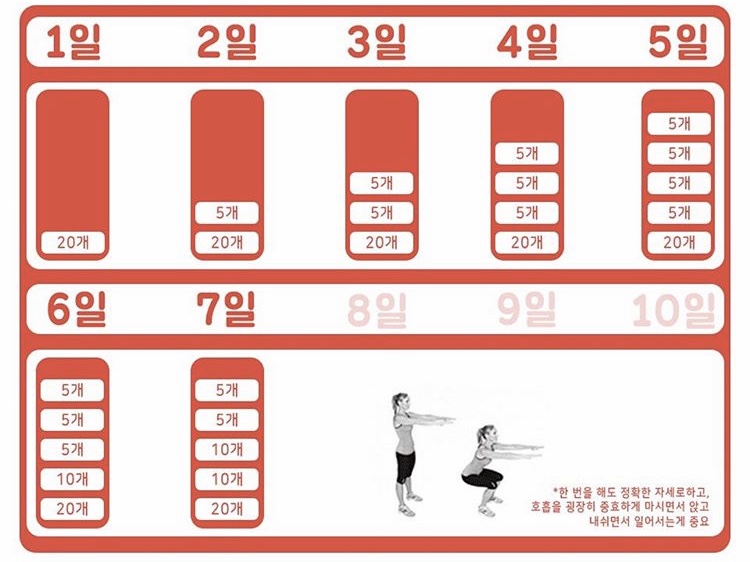  30일목표 스쿼트 스케줄로 다이어트 하는 방법