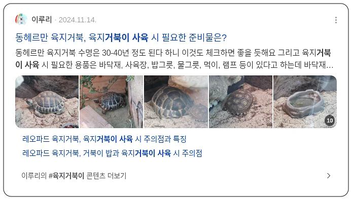 거북이 사육_3_subsection