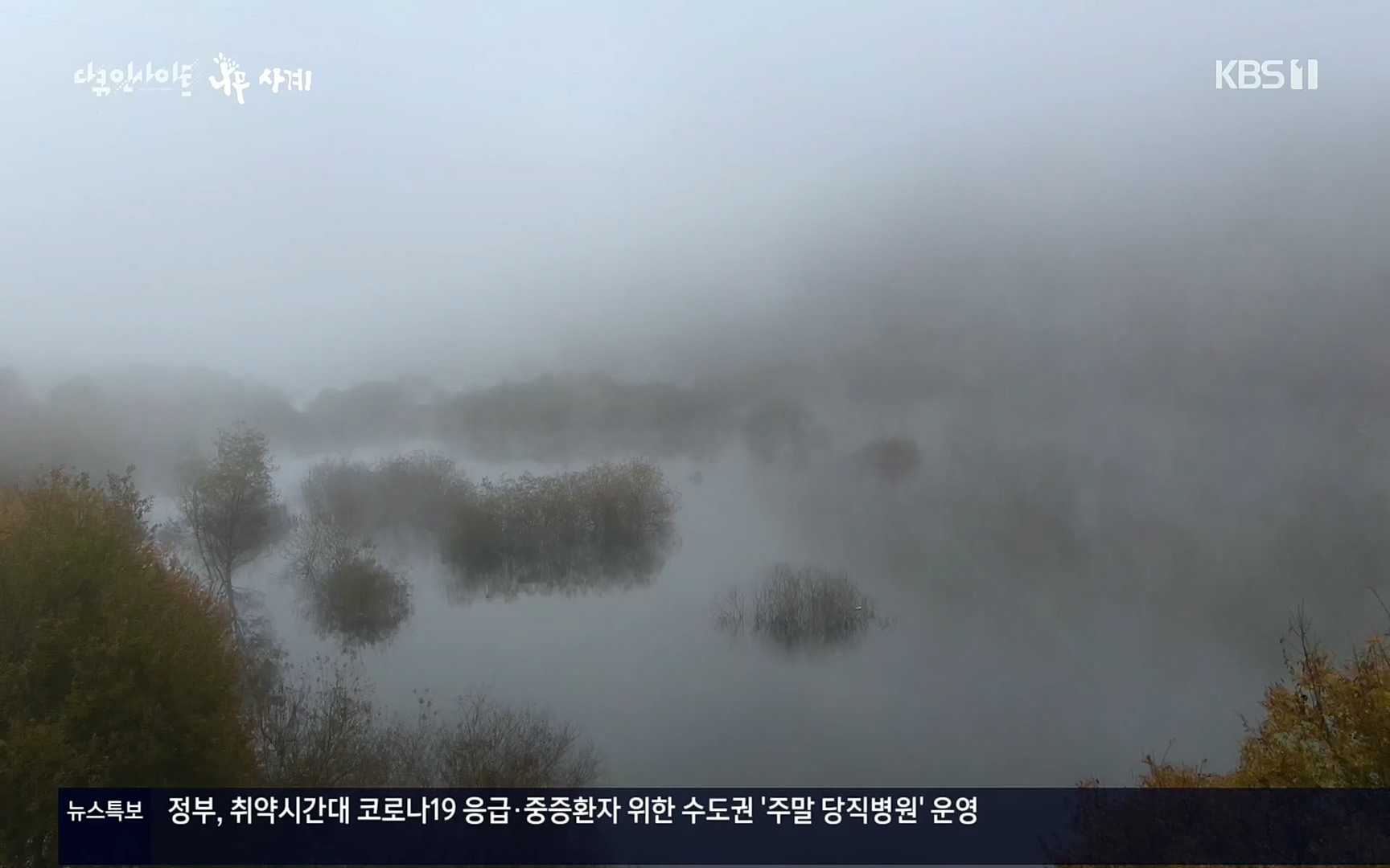 다큐 인사이트.E124.220908p.H264-F1RST.mp4_20220912_143720.333.jpg