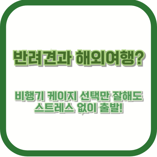 반려견과 해외여행? 비행기 케이지 선택만 잘해도 스트레스 없이 출발!