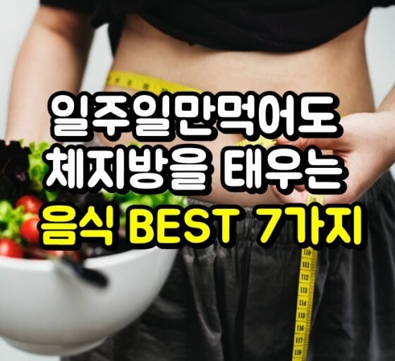 체지방과 음식