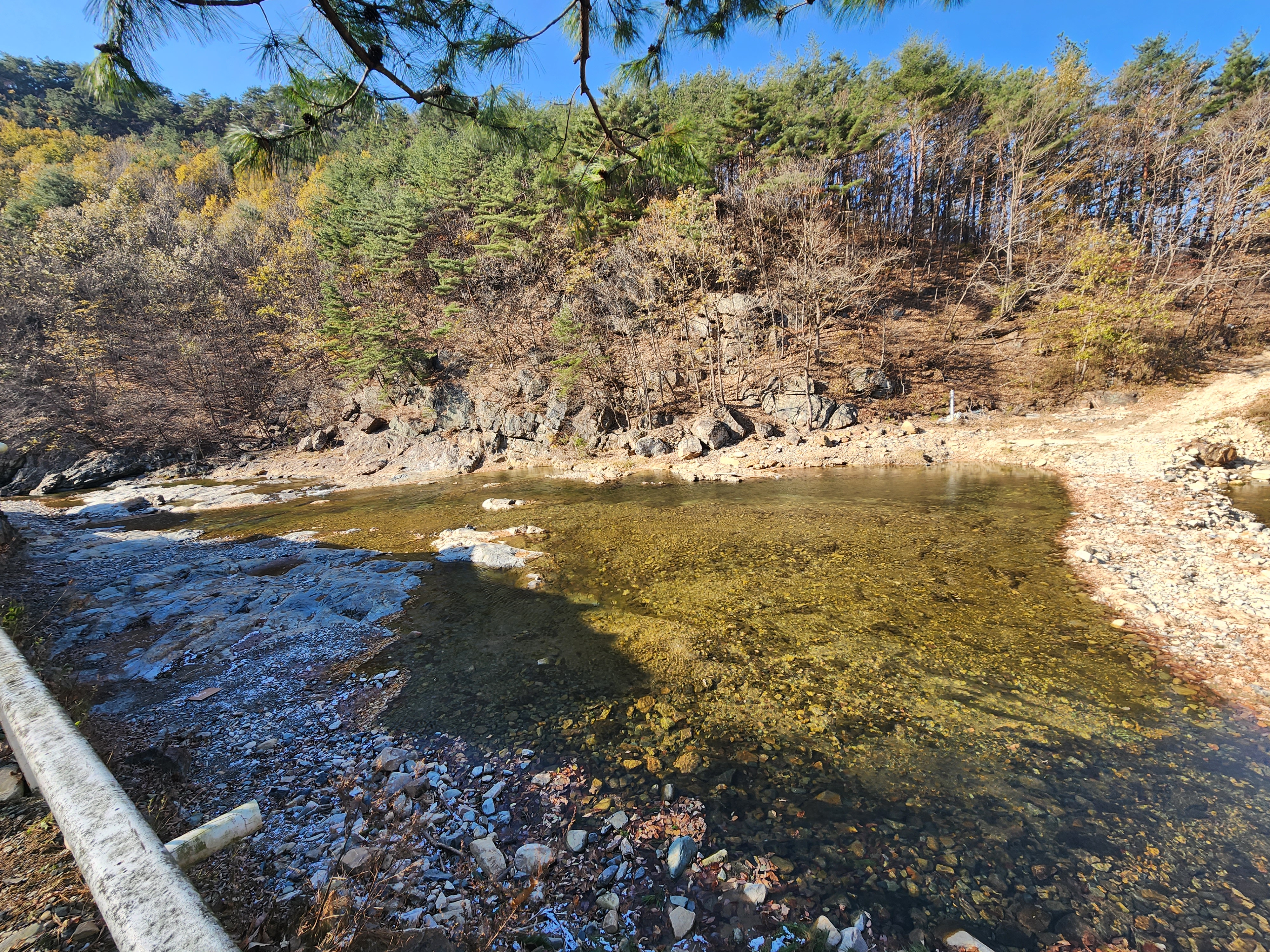 경주 그린하우스 캠핑장