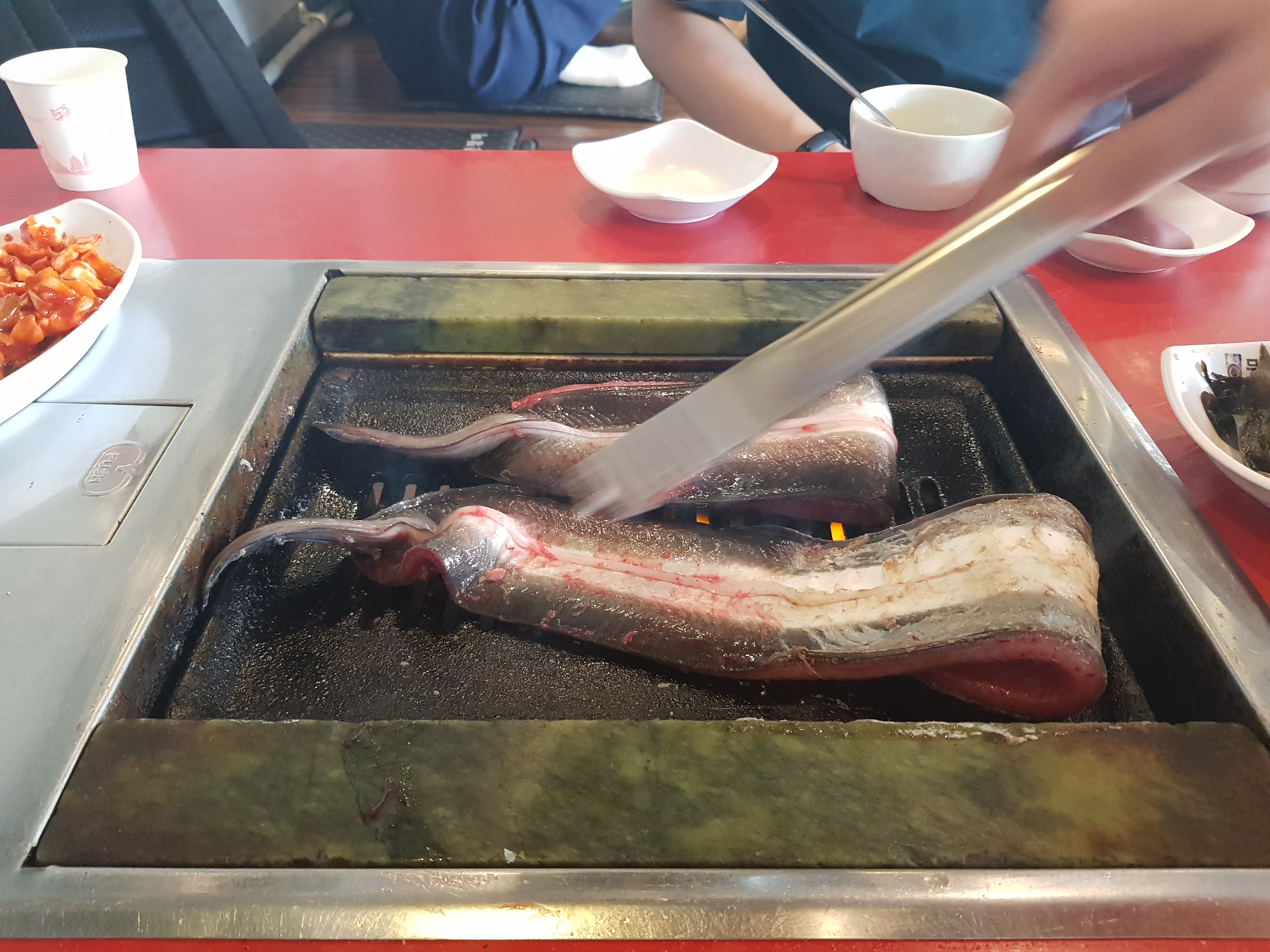 무한장어연구소 이미지