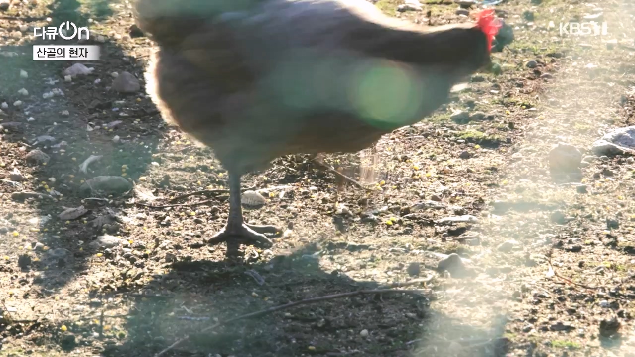 다큐 온.E245.240414p-NEXT.mp4_20240414_142439.586.jpg