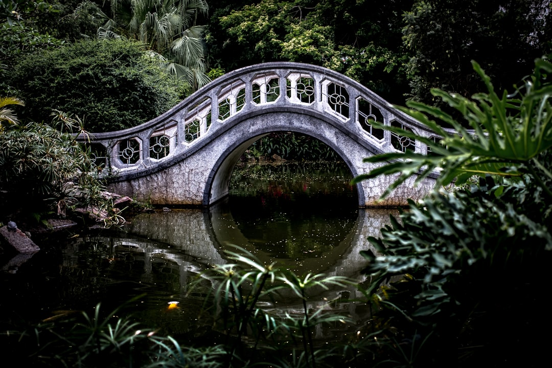 Bridge.