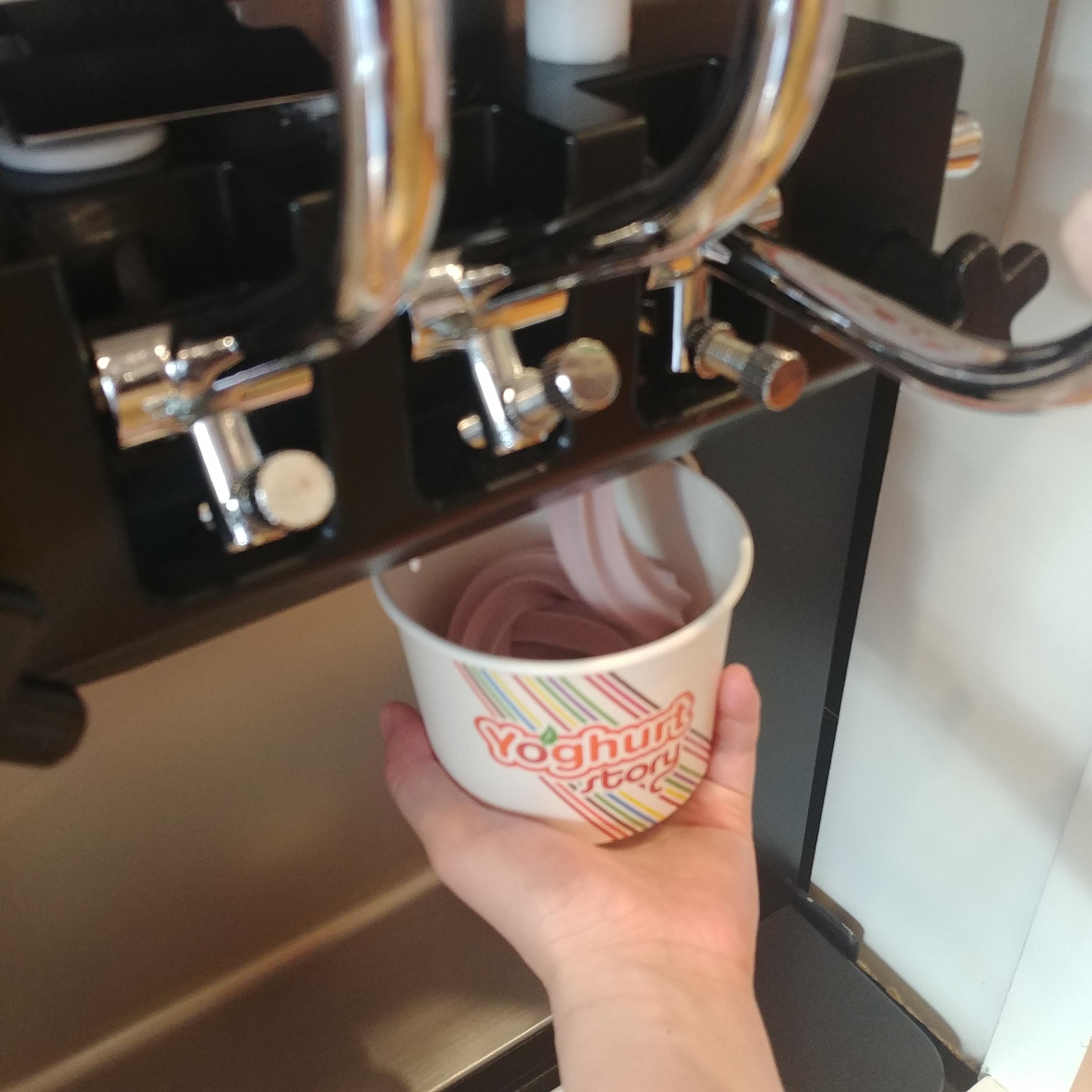 뉴질랜드 오클랜드 요거트 맛집 Yoghurt Story