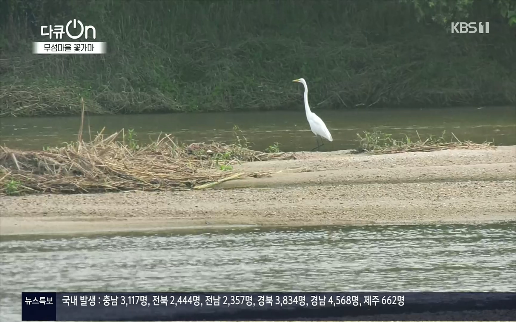 다큐 On.E156.220909p.H264-F1RST.mp4_20220910_192931.888.jpg