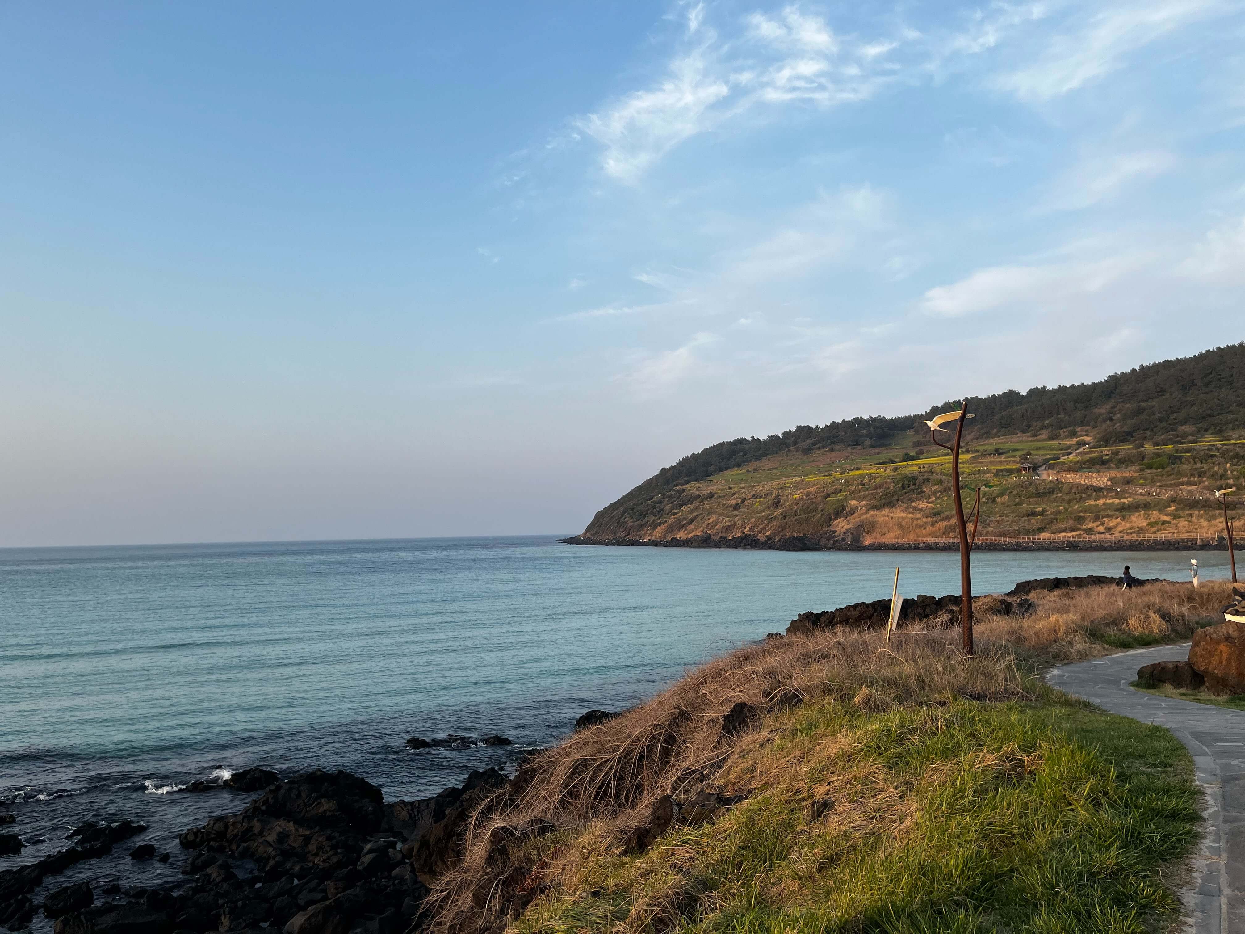 제주도-사진