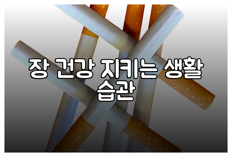 장 건강 지키는 생활 습관