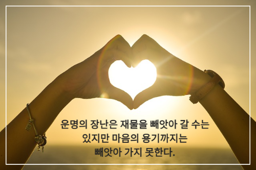 손가락 하트 모양 안에 해