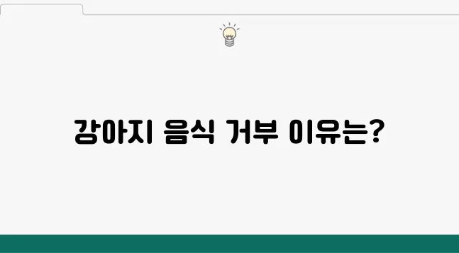강아지가 음식을 거부하는 이유와 그에 적합한 해결 방법은 무엇일까요?