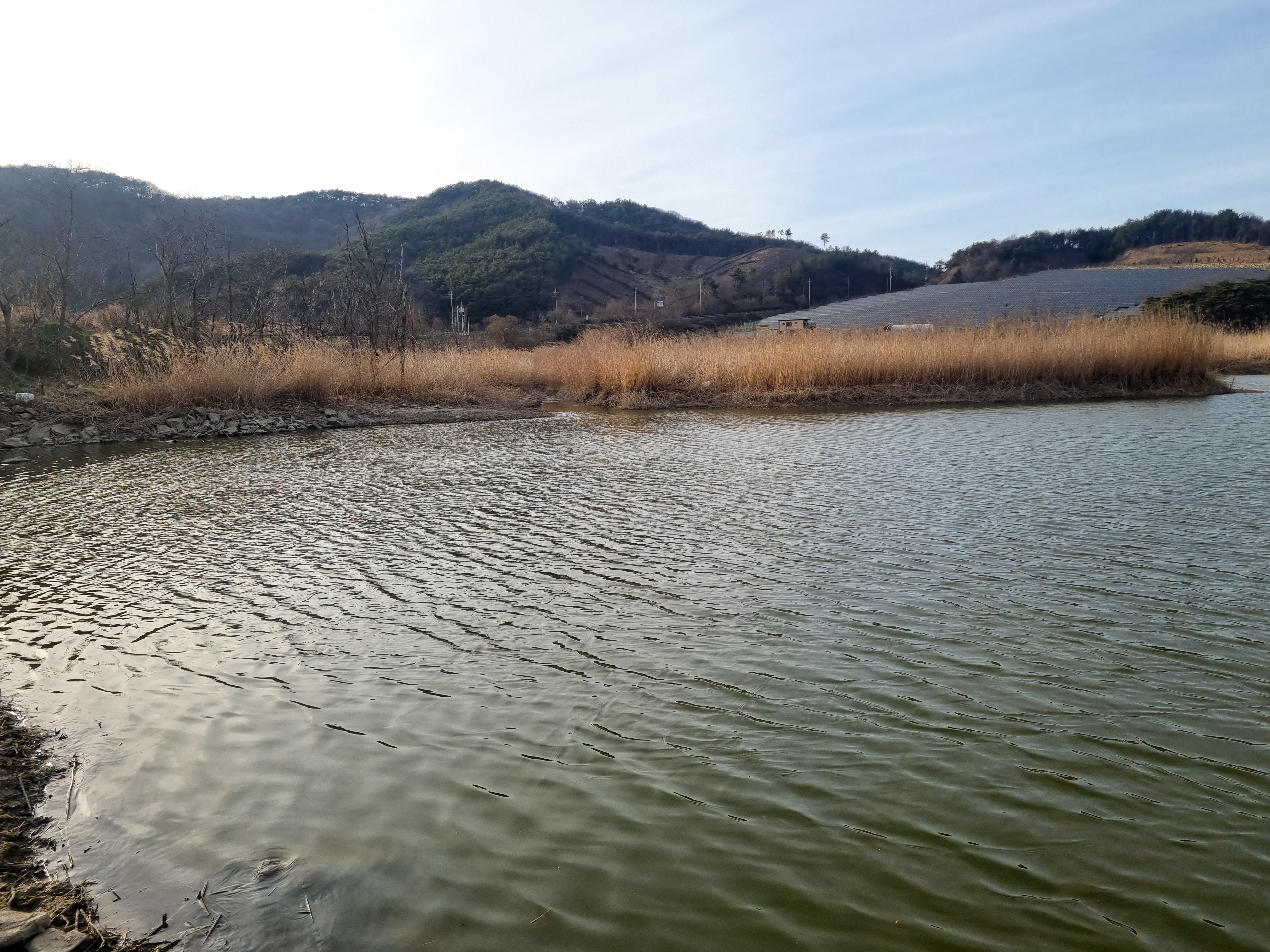 충남 보령 오천면 배스낚시 후기 빙도교+냉장고포인트